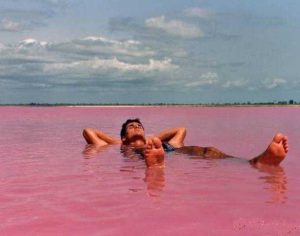 Hillier Gölü neden pembedir?