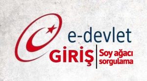 E-Devlet Soy Ağacı Uygulaması Ne Zaman Açılacak !
