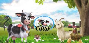 Çiftlik Bank Nedir?