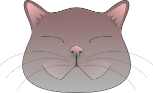 ? Kedi Emojisi Nasıl Yapılır?