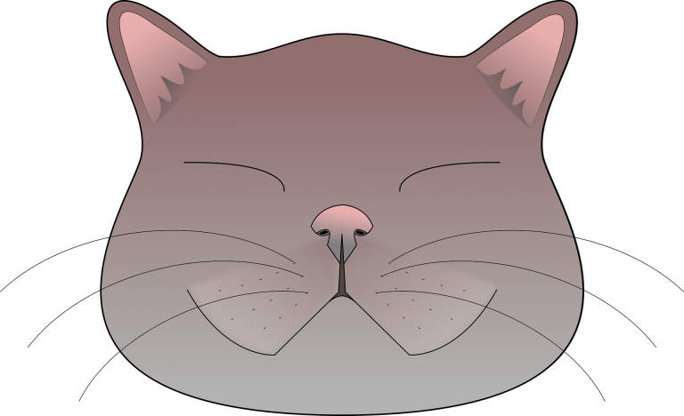 ? Kedi Emojisi Nasıl Yapılır?